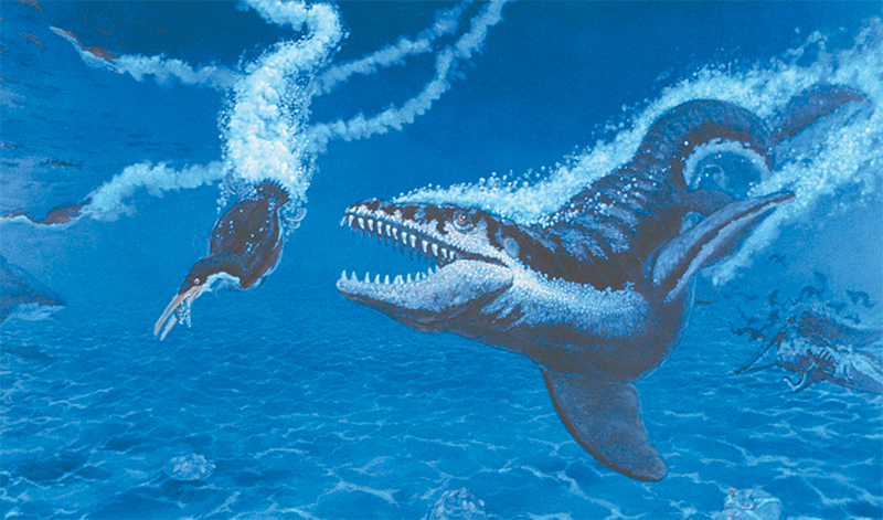 image of a mosasaur chasing a Hesperornis