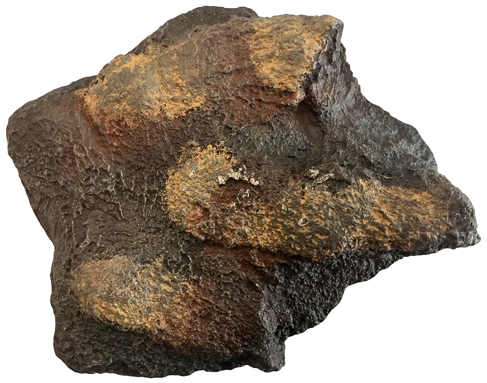 image of Eubrontes dinosaur track