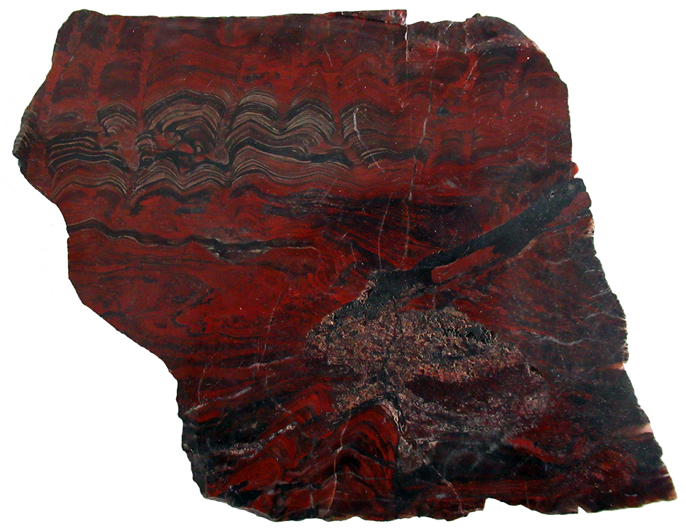 image of iron range stromatolite