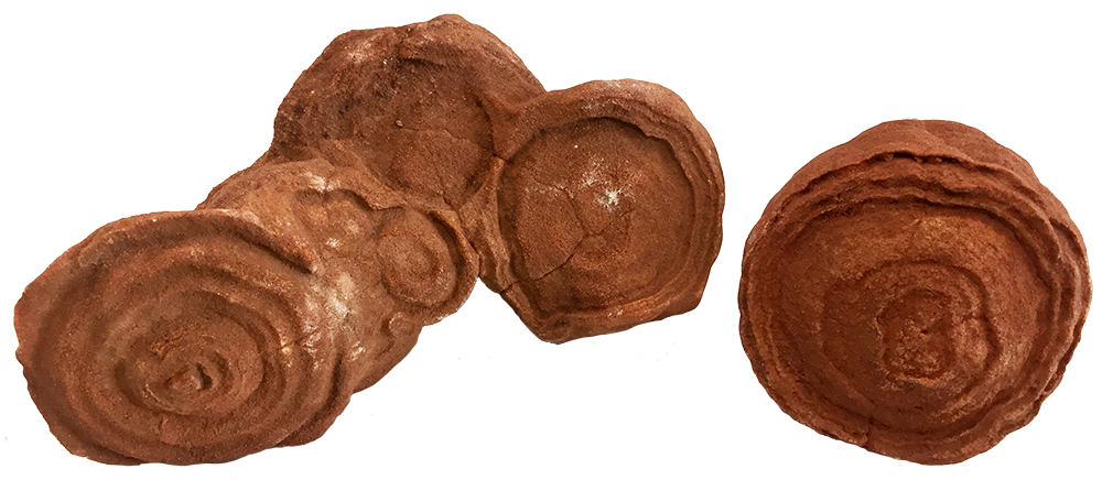 image of sand concretions