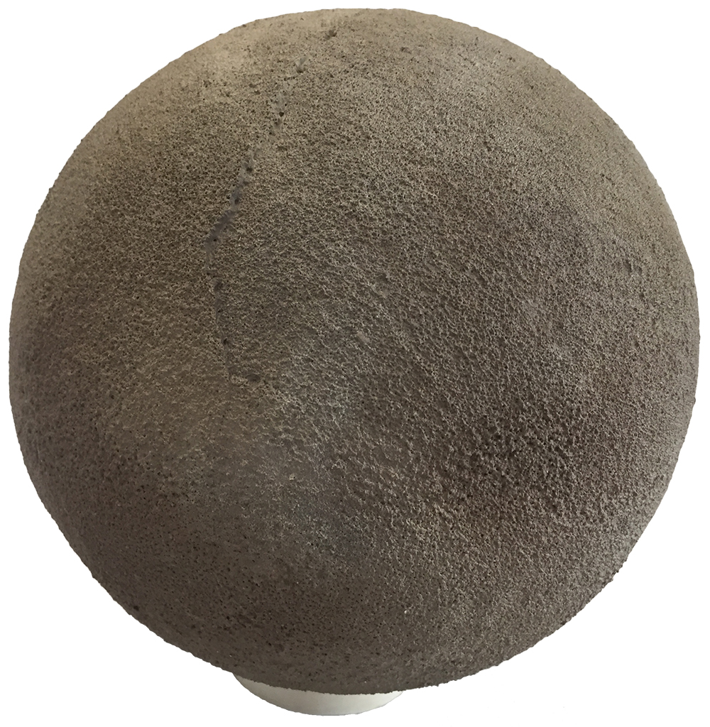 image of sauropod egg