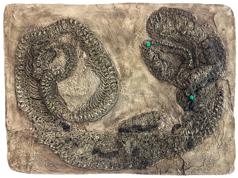 image of fossil snake