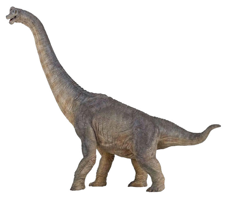 image of Brachiosaurus toy by Papo