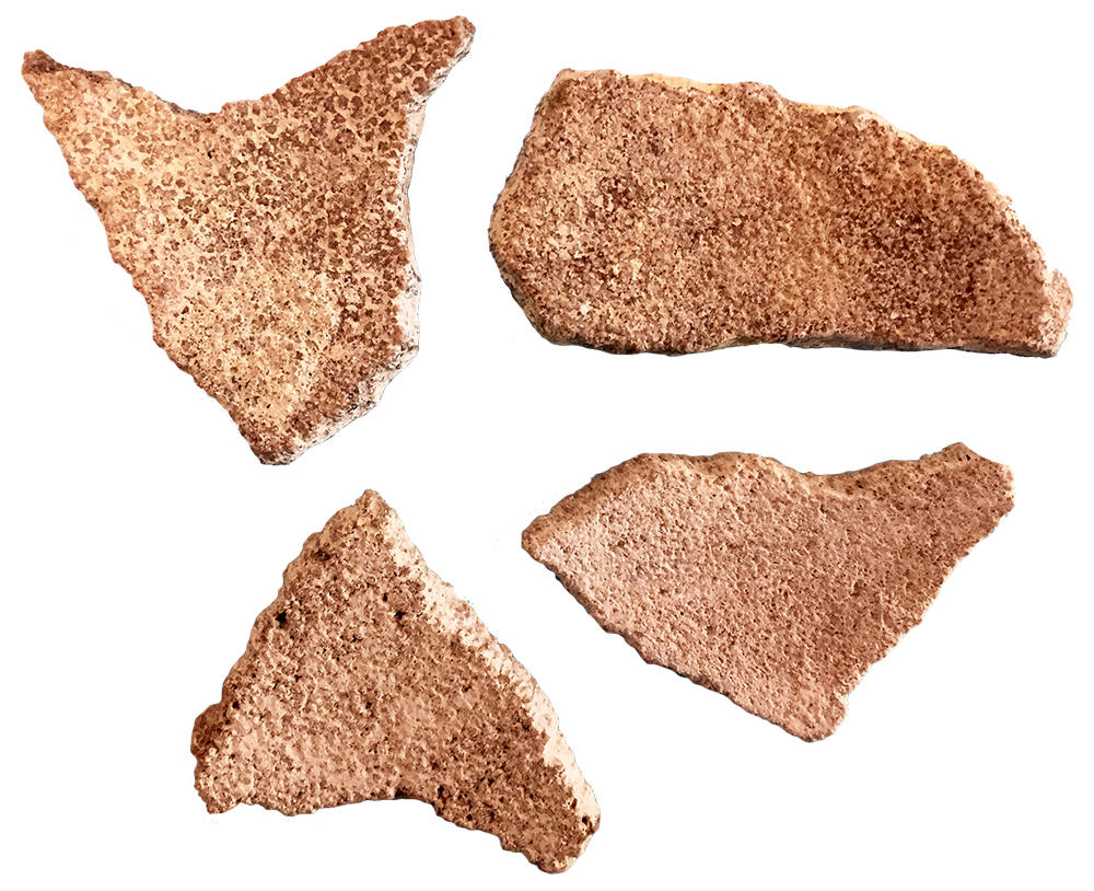 image of dinosaur eggshell fragments