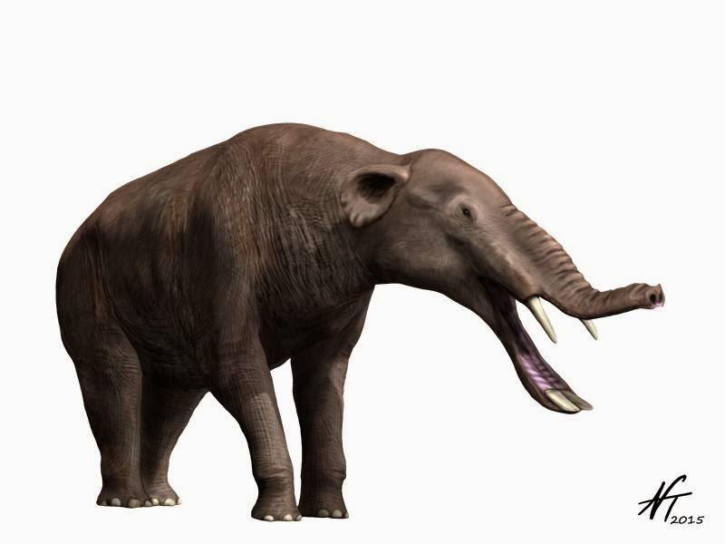 image of gomphothere