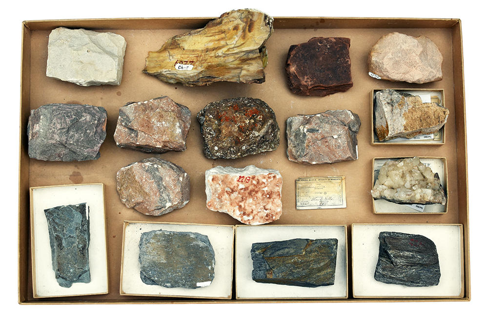 tray of Black Hills rock and mineral samples