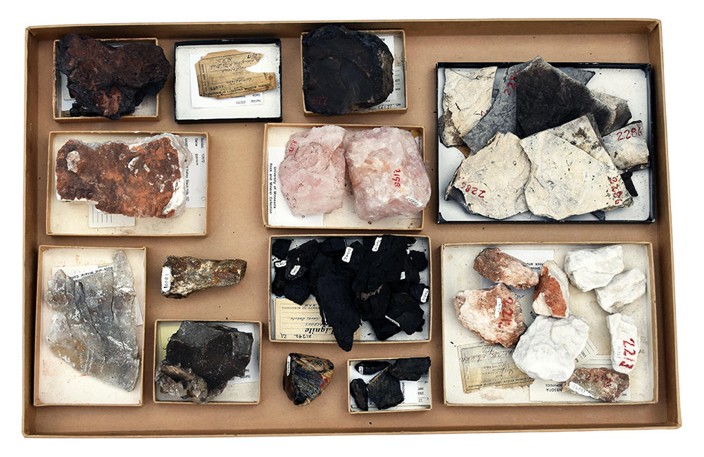 tray of Black Hills rock and mineral samples